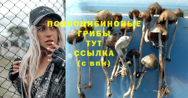 MDMA Алексеевка