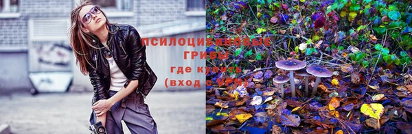 эйфоретик Алексин
