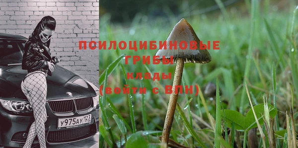 скорость Алзамай