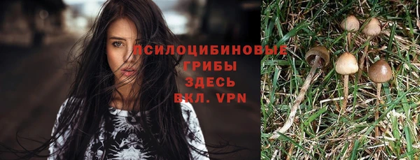 метадон Абаза
