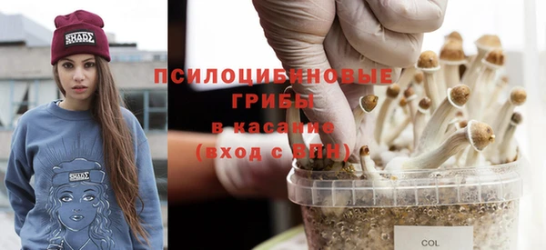 скорость Алзамай