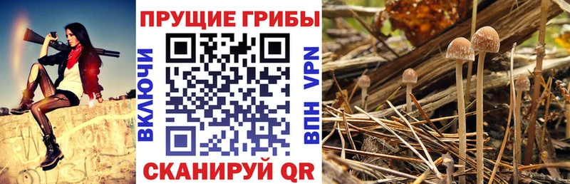 Псилоцибиновые грибы MAGIC MUSHROOMS  Артём 